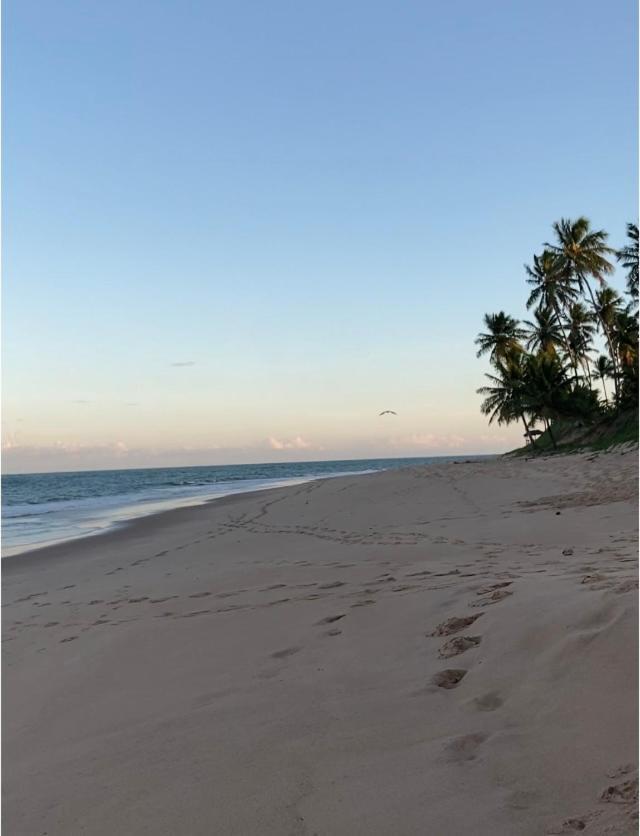 Praia Do Forte- Iberostar- Ap Luxuoso 3 Qts Mata de Sao Joao Ngoại thất bức ảnh